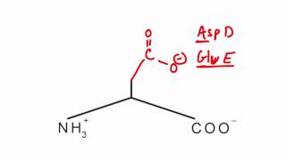 Memorize the 20 amino acids in 20 minutes Part 2 [upl. by Bywaters]