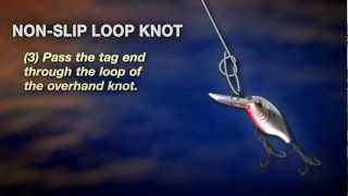 How to tie a NonSlip Loop Knot by PENN [upl. by Suzann176]