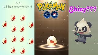 Hatching 10km and 12km eggs pokemon go 20 eggs ready Hatch [upl. by Hardman]