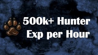 Best Hunter Exp 500k ExpH Catching Chronicle Fragments by Idk Whats Rc [upl. by Ellehsal461]