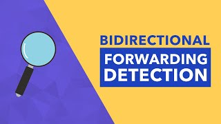 Bidirectional Forwarding Detection [upl. by Odlonra]