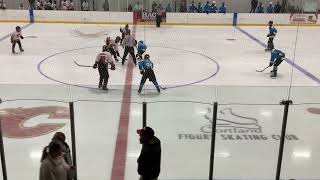 10 5 2024 Cortland 14U vs Binghamton [upl. by Adiel784]