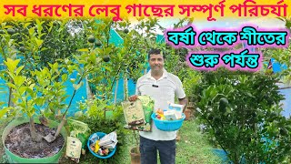 বর্ষা থেকে শীতের শুরু পর্যন্ত সব ধরনের লেবু গাছের জরুরী পরিচর্যা julyoctober care of citrus plant [upl. by Atiuqrahc]