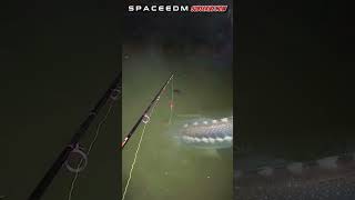 AMAZING FISHING FOR BIG CATFISH AT NIGHT fishing [upl. by Auhsoj396]