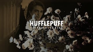 • Hufflepuff House Technicolor Beat [upl. by Iorio593]