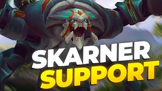 making REWORKED SKARNER a VIABLE Support [upl. by Eicyaj]