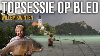 FOCUS OP SLOVENIË 2  Topsessie op BLED met veel karpers  Willem amp Kenyon Kwinten [upl. by Nnylecoj888]