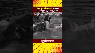 மீன் புடிக்காம என்ன செய்றாரு பாருங்க  Deiva Magan Tamil Movie Scenes  Sivaji  ytshorts [upl. by Ynohtn382]