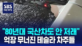 자파 현상이 뭐길래…억장 무너진 테슬라 차주들  SBS  오클릭 [upl. by Idram]