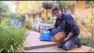 The Garden Gurus  Repotting hanging baskets [upl. by Ansilma]