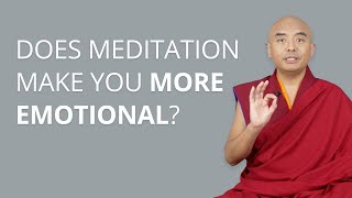 Does Meditation Make You More Emotional with Yongey Mingyur Rinpoche [upl. by Esital565]