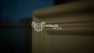 Koalos medis  baldžių įmonės pristatymas  MainstreamPRO [upl. by Urbas48]