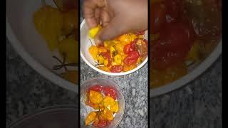 ofe akwu recipe [upl. by Annodas169]