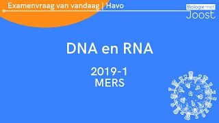 11 Examenvraag van vandaag  Havo  20191 MERS [upl. by Rednazxela]