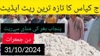 today cotton price  cotton rate today  aj kapas ka rate  cotton rate Punjab [upl. by Daffie]