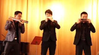 WHF 2013 Trio World Champion quotThe Bird in the Dustquot  Judys Harmonica Ensemble [upl. by Kissee674]