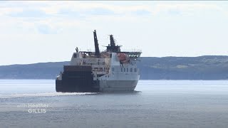 Bell Island ferry reliability is ‘hit and miss’ and life is hard to plan around it say users [upl. by Annoled721]