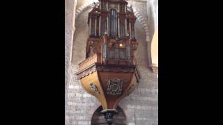 Orgue de Tournus [upl. by Thackeray]