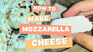 Mozzarella cheese at homemarket style because home made is the best [upl. by Ailati]