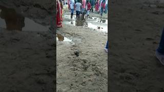 Andal Damodar nodi chhoot puja youtubeshorts shotsvideo youtubevideo [upl. by Utas512]