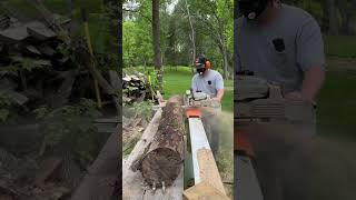 Slicing Up Spalted Maple Slabs with my Stihl MS 661 and Logosol F2 Plus sawmill oddlysatisfying [upl. by Rutherfurd]