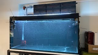 Jacksons N30 Arowana Tank Set Up Part 24 龙鱼缸设置 [upl. by Eednil]