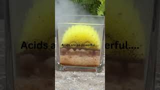 Acid  sulfuric acid  science experiment [upl. by Ethel722]