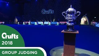 Best in Show Judging  Crufts 2018 [upl. by Adnyl62]