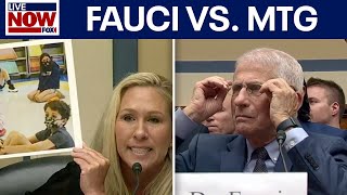 Marjorie Taylor Greene blasts Dr Fauci quotHe belongs in prisonquot [upl. by Ecinnahs]