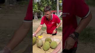 Unboxing durian musangking organic  Best cutter durian 135 [upl. by Rob]