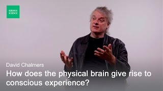 Hard Problem of Consciousness — David Chalmers [upl. by Jaqitsch935]