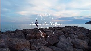 AMOR DE TEBEO  Pedroche Video Oficial [upl. by Ynohtna581]