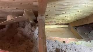 Cellulose On Top Of Fibreglass Insulation Problem [upl. by Yffub]