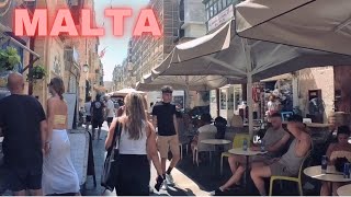 Share your favorite Maltese memory in the comments [upl. by Avilla218]