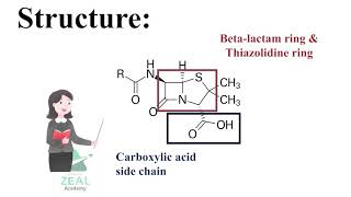 Pharmaceutical Chemistry for PEBC FPGEE NAPLEX amp KAPS PENICILLIN SAR [upl. by Ahsaekal]