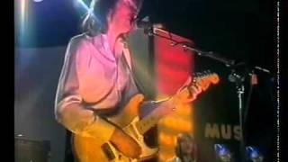 al stewart year of the cat 1979 long live version [upl. by Johen]