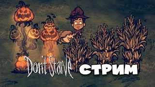 🔴LIVE  Охота на Мальбатроса  Dont Starve Together [upl. by Elaina]