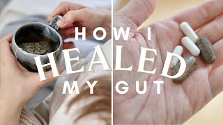 HOW I HEALED MY GUT  Chronic Digestive Issues  My Gut Health amp IBS Healing Journey [upl. by Landri151]