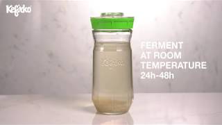 HOW TO MAKE WATER KEFIR WITH KEFIRKO KEFIR MAKER [upl. by Idolah860]