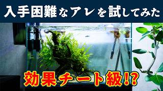 【グリーンウォーター】効果バツグン！水をクリアにする海外製品 sera クリスタルクリアampフォスベックグラニュレイト【アクアリウム用品レビュー】 [upl. by Nayrda669]