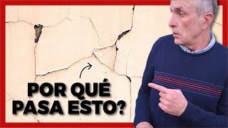 🧱¿Pared de Ladrillo CERÁMICO Hueco 7 Datos que NADIE cuenta 👀 [upl. by Bible855]