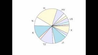 Changing mtDNA haplogroup frequencies through European prehistory [upl. by Yrreg]