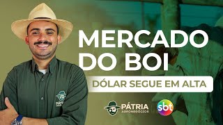 MERCADO DO BOI [upl. by Valenza]