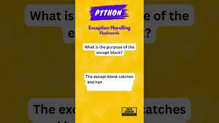 Mastering Python Exception Handling Complete Guide for Beginners 4 [upl. by Tatia61]