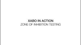 Our antibioticimpregnated catheter XABO® in the lab  Zone of Inhibition Testing [upl. by Kerstin]