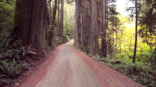 Howland Hill Road Jedediah Smith Redwoods [upl. by Ebaj]