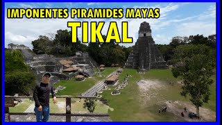 Las imponentes pirámides Mayas de Tikal Guatemala [upl. by Lita]