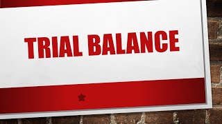 The Trial Balance Explained [upl. by Shanahan498]