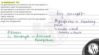 In angiosperms the A gametophyte is prominent and the sporophyte is dependent upon the gameto [upl. by Tannie]