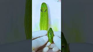 Cucumber has a baby Need Emergency Surgery jidoodle fruitsurgery foodsurgery [upl. by Enajaras]